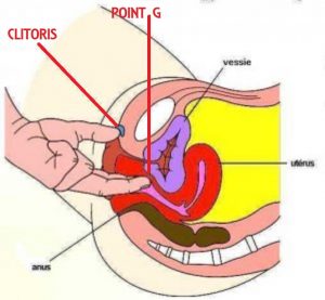 Comment faire jouir une femme ?