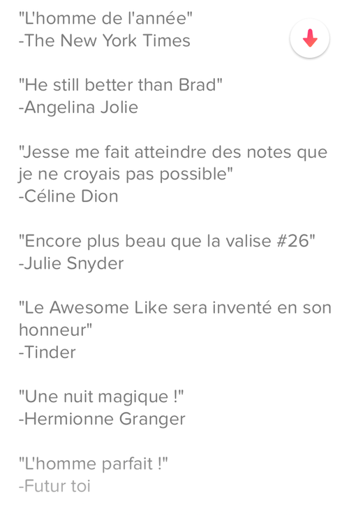 description tinder exemple