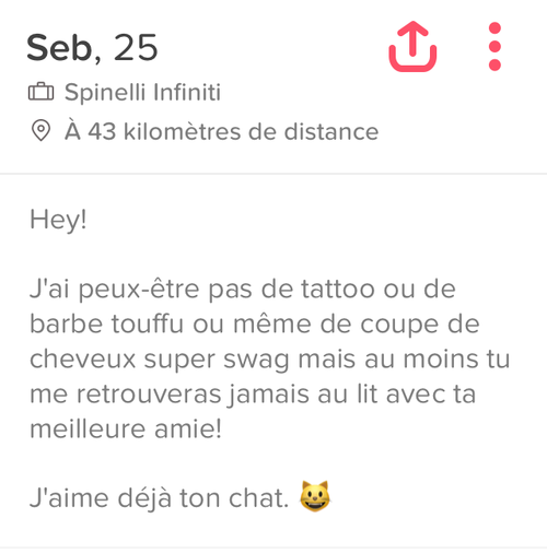 descriptions tinder