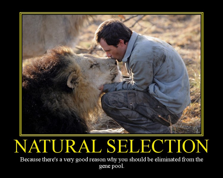 La sélection naturelle 