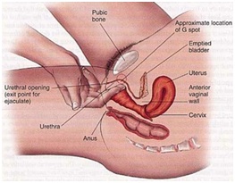 éjaculation féminine