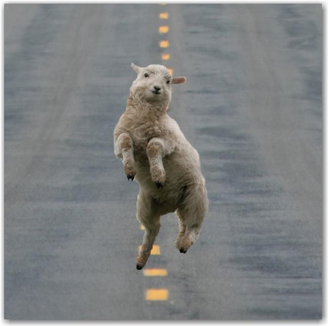 libre et heureux