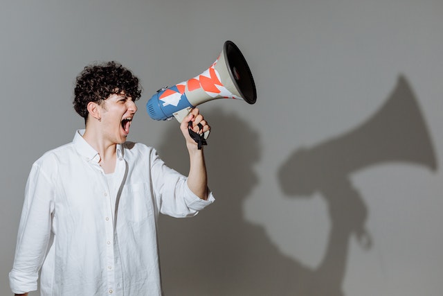le ton de voix