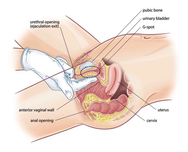 point g deep spot