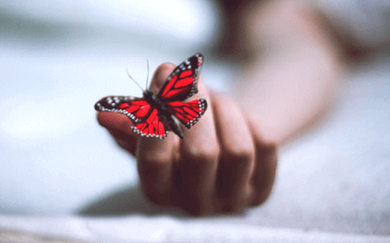 livre angoisse depression