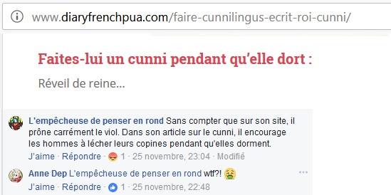 les féministes radicales