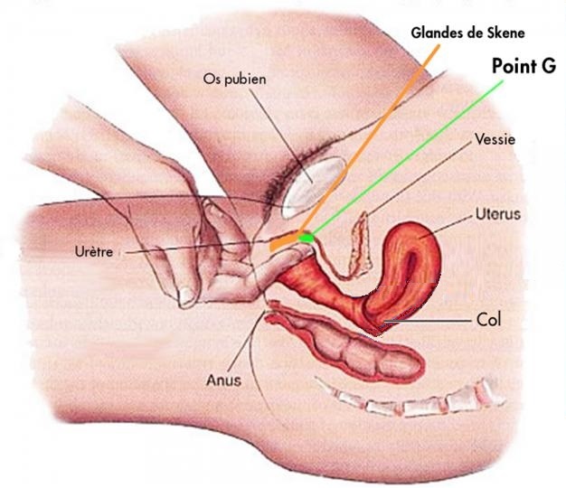 point g