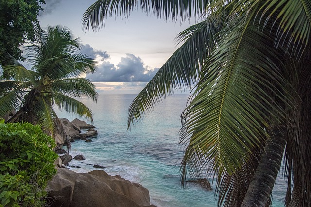 vlog seychelles
