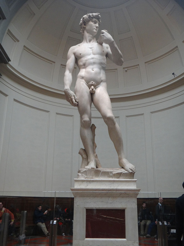 taille du penis