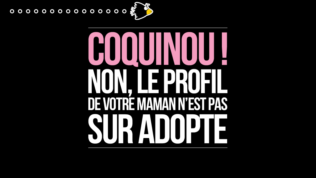 adopte un mec sans inscription