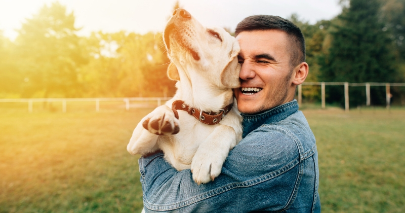avoir un animal rend heureux