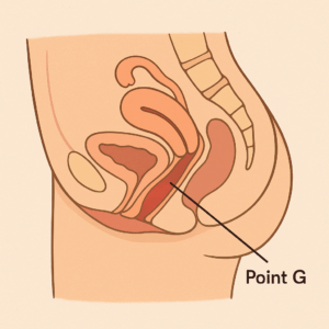 point g squirt